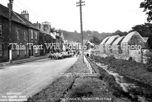 YO 13423 - Maltongate, Thornton Le Dale, Yorkshire
