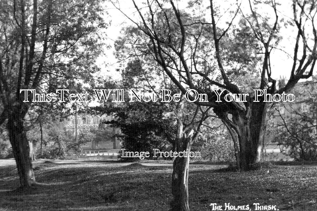 YO 13461 - The Holmes, Thirsk, Yorkshire