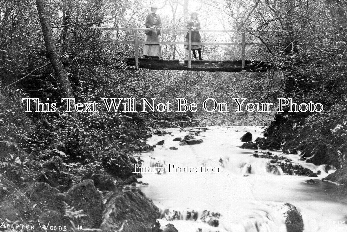 YO 13520 - Skipton Woods, Yorkshire c1906