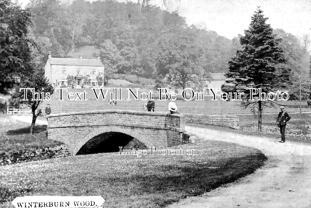 YO 13539 - Winterburn Wood, Skipton, Yorkshire c1908