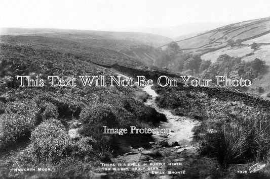 YO 13648 - Haworth Moor, Yorkshire