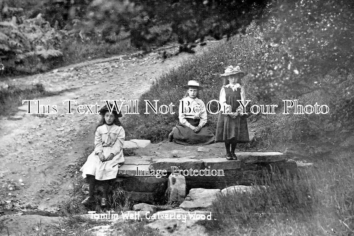 YO 13656 - Tomlin Well, Calverley Wood, Leeds, Yorkshire