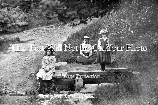 YO 13656 - Tomlin Well, Calverley Wood, Leeds, Yorkshire