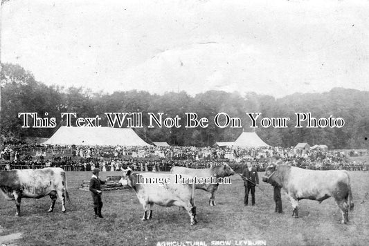 YO 1464 - Agricultural Show, Leyburn, Yorkshire c1905