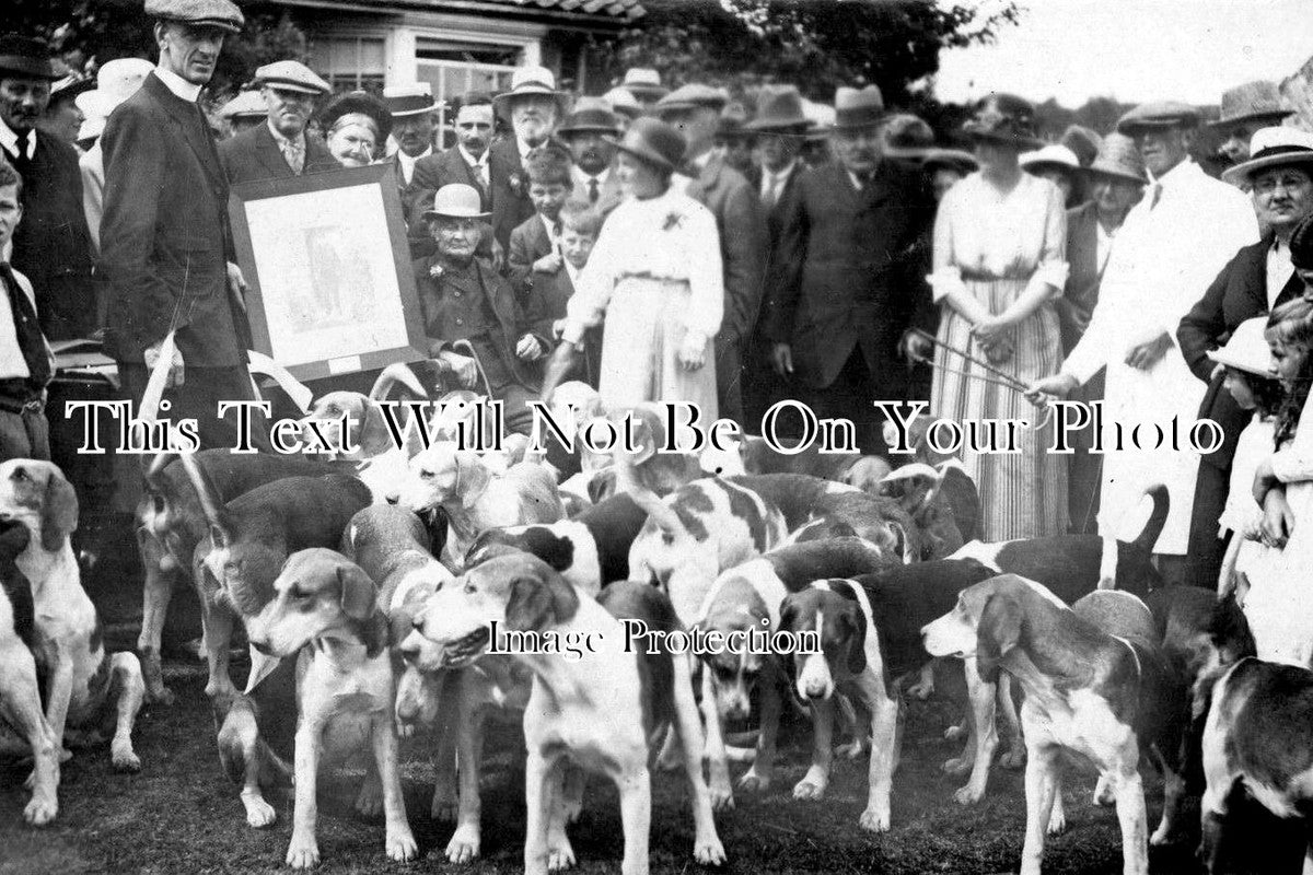 YO 1497 - Gathering Of The Local Hounds, Whitby, Yorkshire