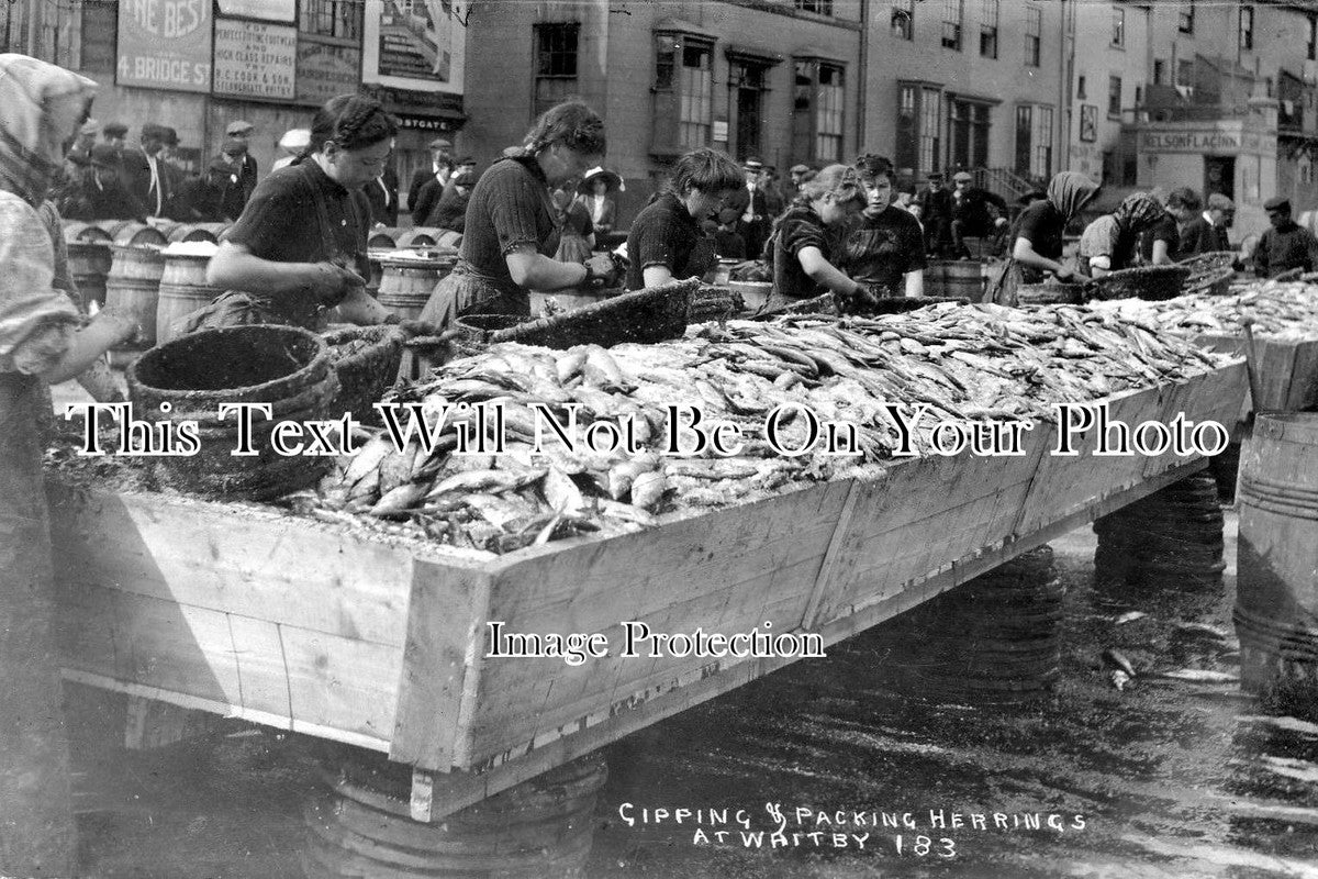 YO 1501 - Herring Gipping, Whitby, Yorkshire c1912