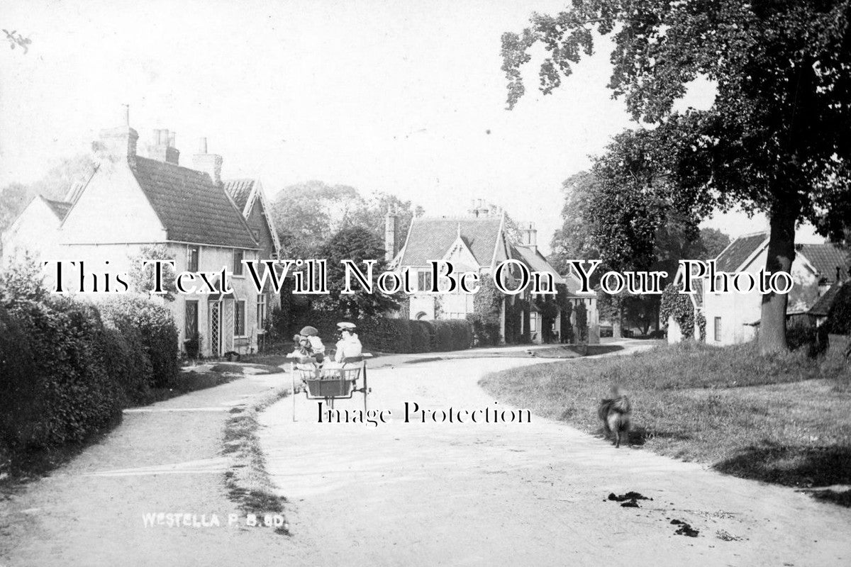 YO 1532 - Westella, Hull, Yorkshire c1904