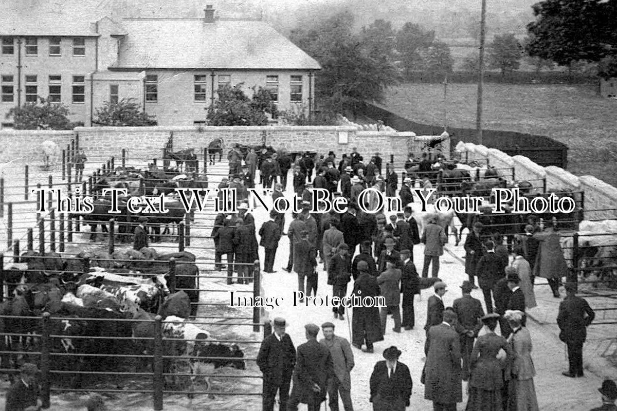 YO 1597 - New Cattle Market, Knaresborough, Yorkshire