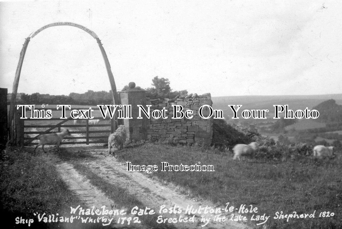 YO 1786 - Whale Bones, Lastingham, Yorkshire