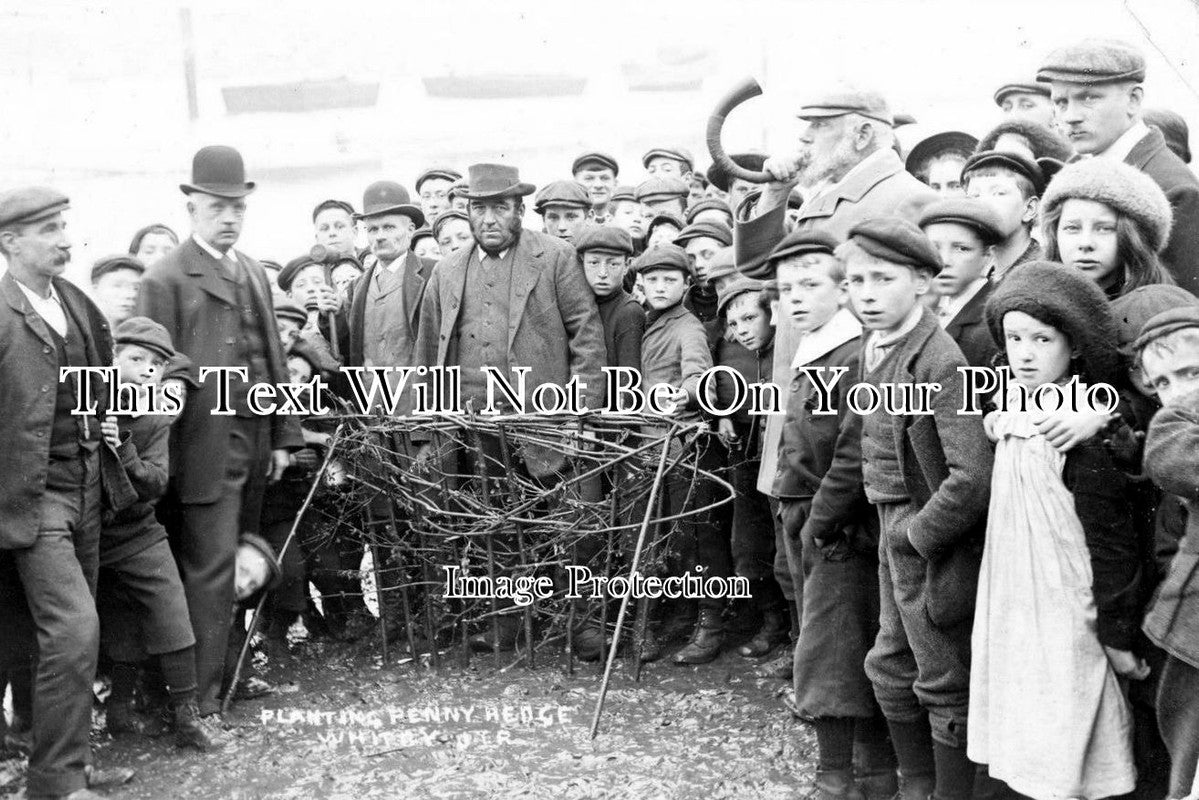 YO 1819 - Planting The Penny Hedge, Whitby, Yorkshire