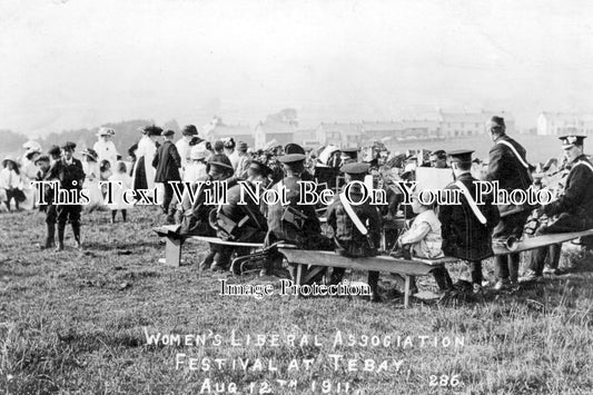 YO 2139 - Women's Liberal Association Festival At Tebay, Yorkshire 1911