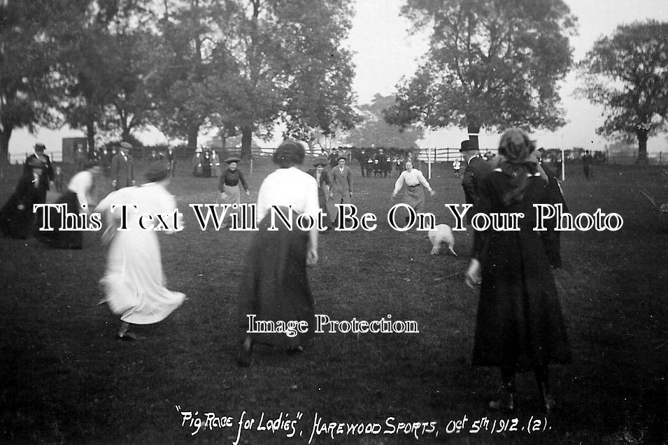 YO 2301 - Pig Race At Harewood Sports, Yorkshire 1912