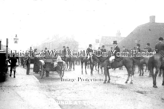 YO 2820 - Hounds At Tockwith, Yorkshire
