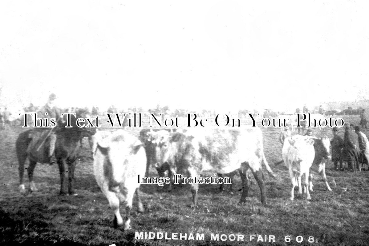 YO 3102 - Middleham Moor Fair, Yorkshire c1905