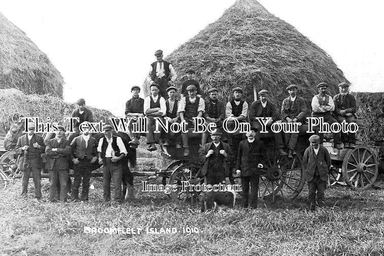 YO 3321 - Broomfleet Island Hay Harvest, Yorkshire 1910