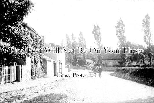 YO 3359 - Poplars, Whixley, Yorkshire