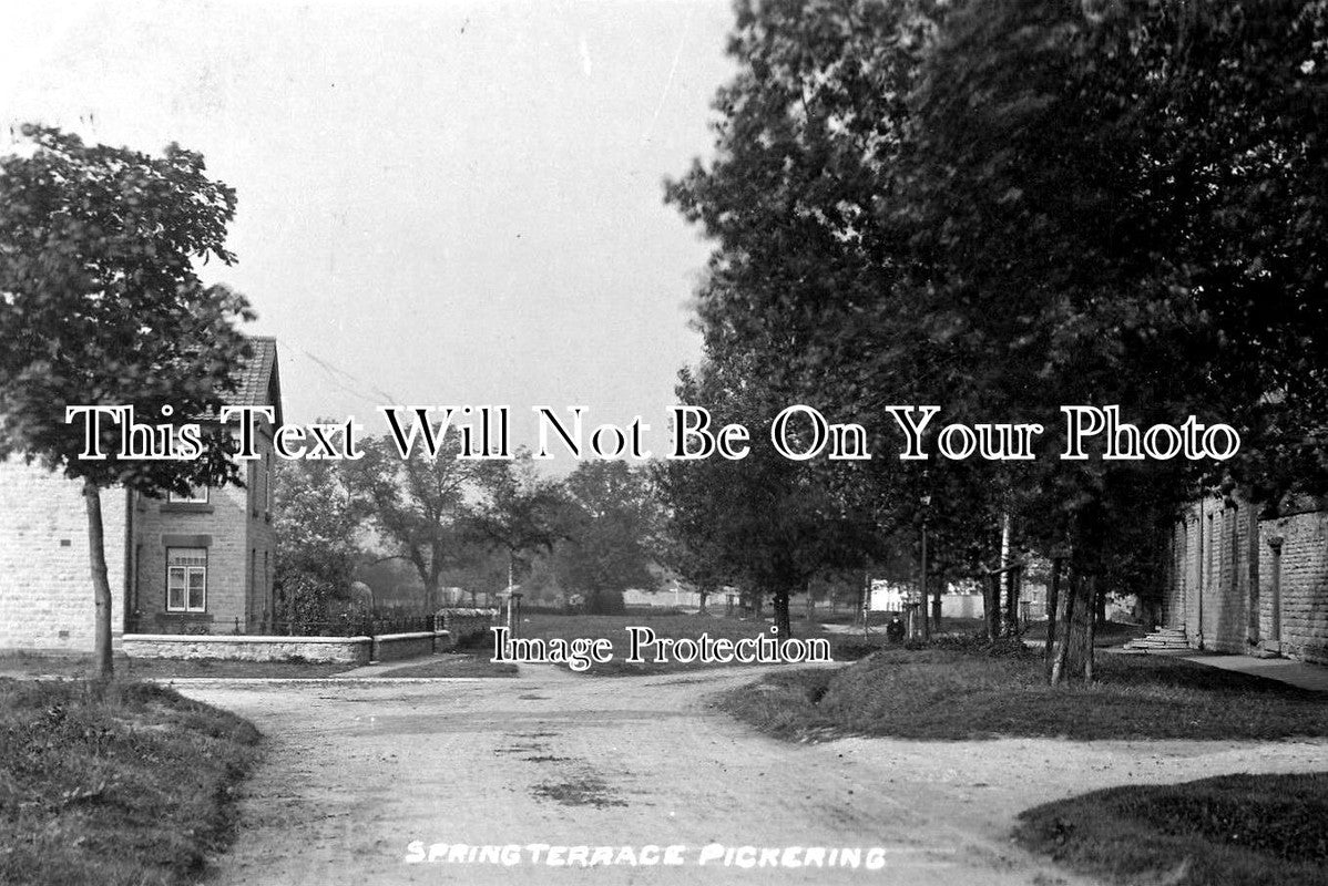 YO 338 - The Spring Terrace, Pickering, Yorkshire c1924