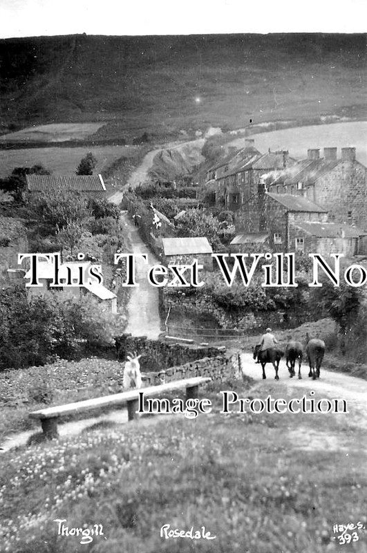 YO 3440 - Thorgill, Rosedale, Yorkshire