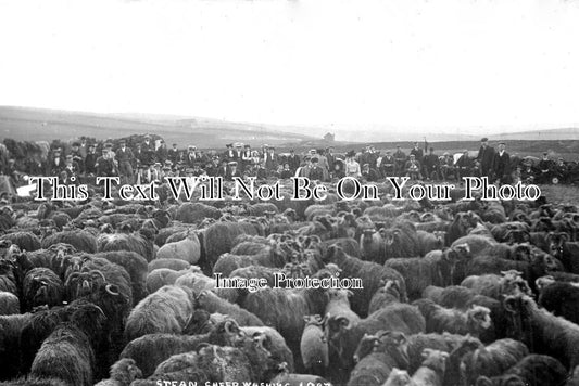 YO 3740 - Pateley Bridge Stean Sheep Washing, Yorkshire
