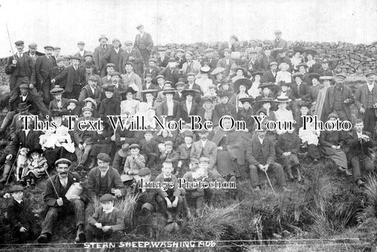 YO 3742 - Pateley Bridge Stean Sheep Washing, Yorkshire c1906