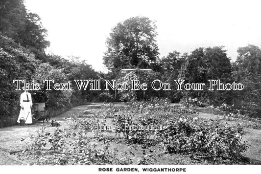 YO 3853 - Rose Garden, Wigganthorpe, Wiganthorpe, Yorkshire