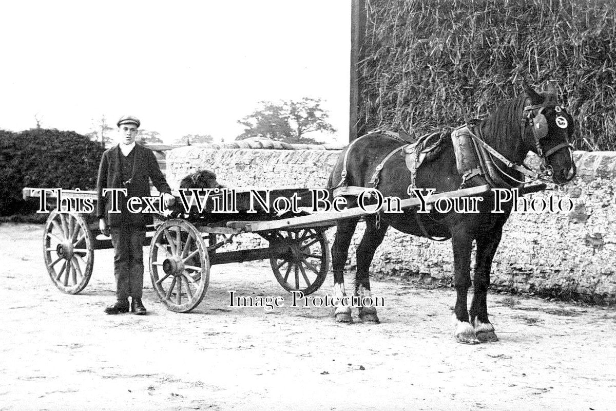 YO 3981 - Man & Horse & Cart, Bentley, Doncaster, Yorkshire c1913