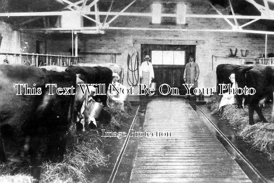 YO 4026 - Thirsk Road Dairy, Northallerton, Yorkshire c1927
