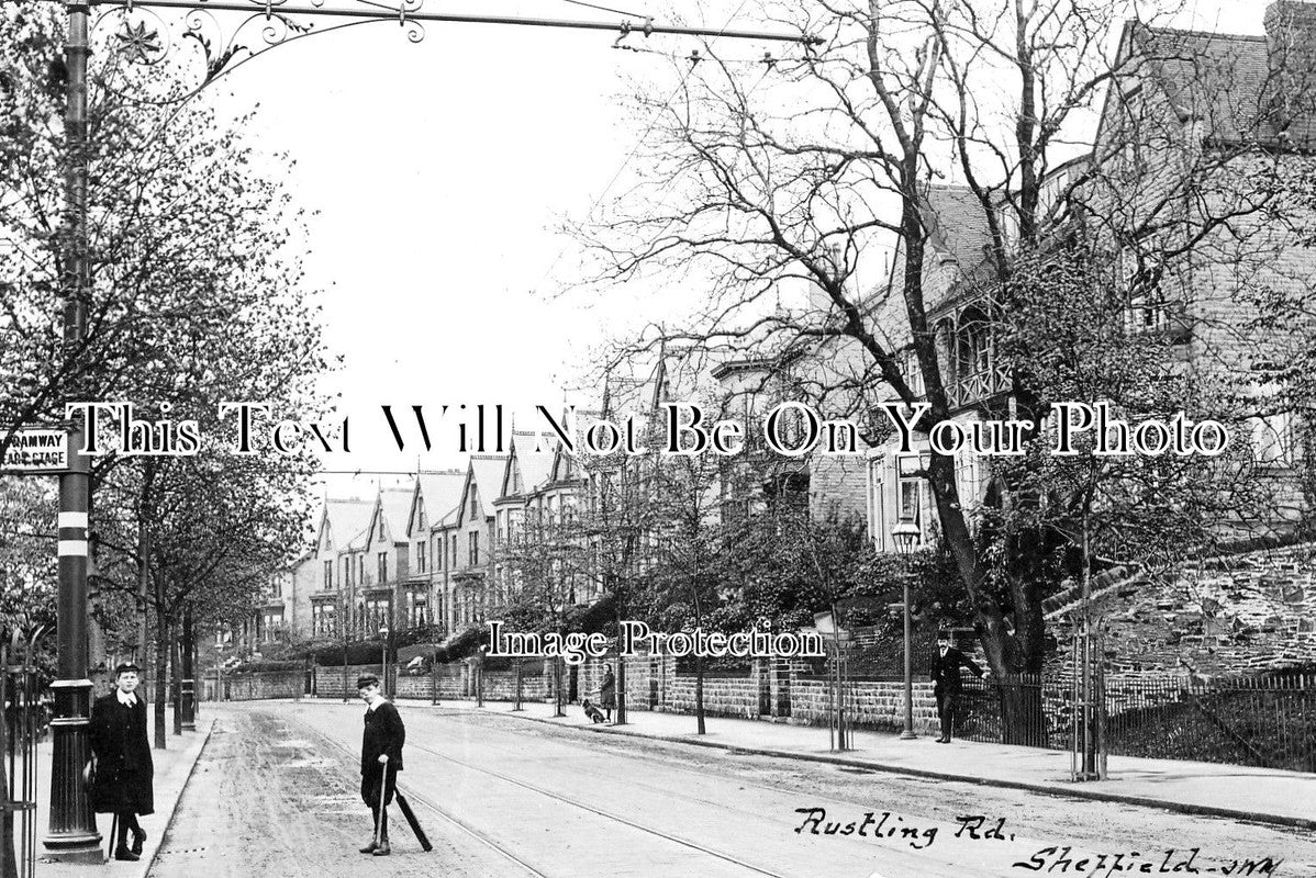 YO 4248 - Rustling Road, Sheffield, Yorkshire