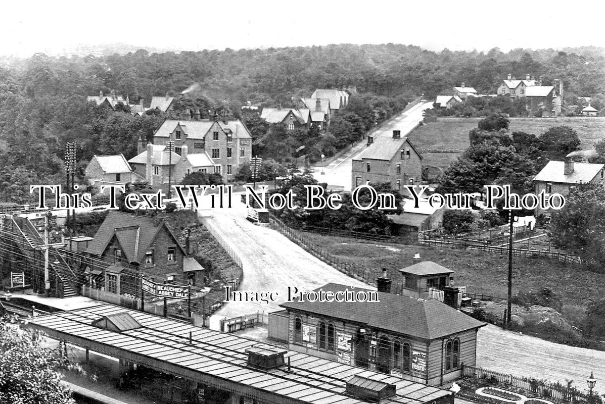 YO 4580 - Beauchief & Abbey Dale Railway Station, Sheffield, Yorkshire 1906