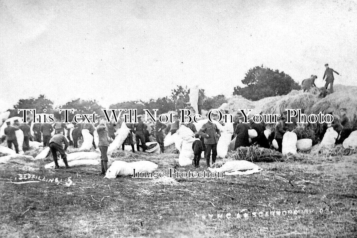 YO 4801 - Straw Bed Filling, YMCA Camp, Scarborough, Yorkshire
