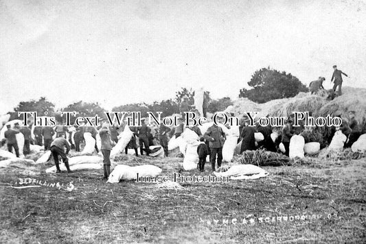 YO 4801 - Straw Bed Filling, YMCA Camp, Scarborough, Yorkshire