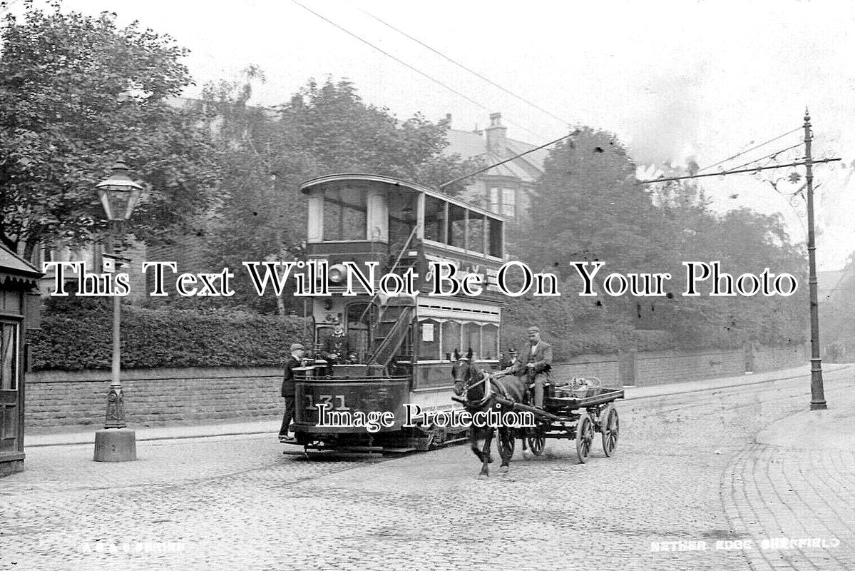 YO 4811 - Nether Edge, Sheffield, Yorkshire c1905
