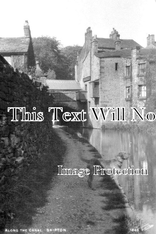 YO 4948 - Along The Canal, Skipton, Yorkshire