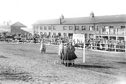 YO 5067 - The Paddock, Pontefract Racecourse, Yorkshire
