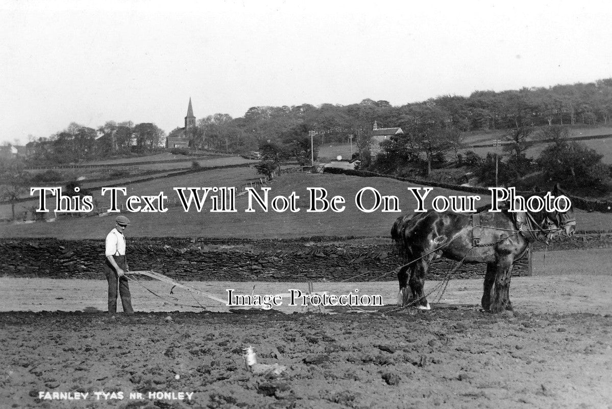 YO 507 - Ploughing With Shire Horse, Farnley Tyas, Yorkshire