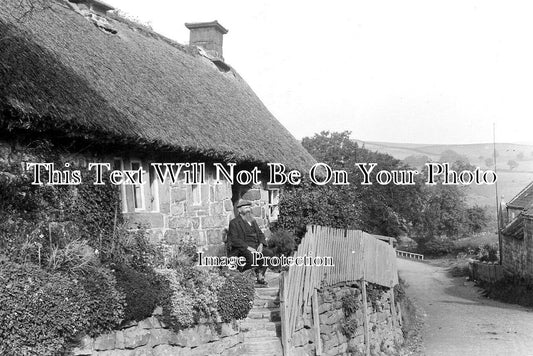 YO 5105 - The Nest, Danby, Yorkshire