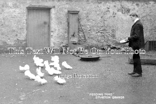 YO 5114 - Feeding Time, Sturton Grange, Yorkshire