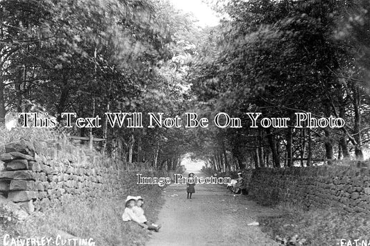 YO 5231 - Calverley Cutting, Yorkshire