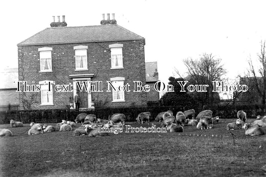 YO 5659 - Brantingham, Yorkshire