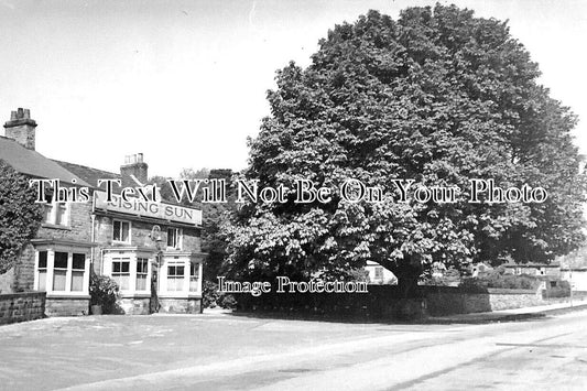 YO 6003 - The Rising Sun Pub, Abbey Lane, Sheffield, Yorkshire