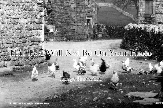 YO 6093 - A Beckermonds Farmyard, Yorkshire