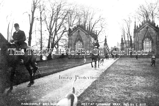 YO 6229 - Ribblesdale Buck Hounds, Gisburn Park, Yorkshire