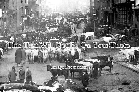 YO 6436 - Skipton Cattle Market, Yorkshire