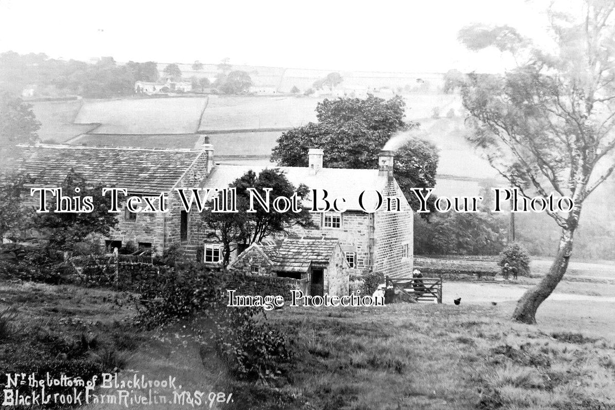 YO 6474 - Bottom Of Blackbrook, Blackbrook Farm, Rivelin, Sheffield
