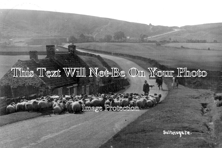 YO 6501 - Saltersgate, Yorkshire