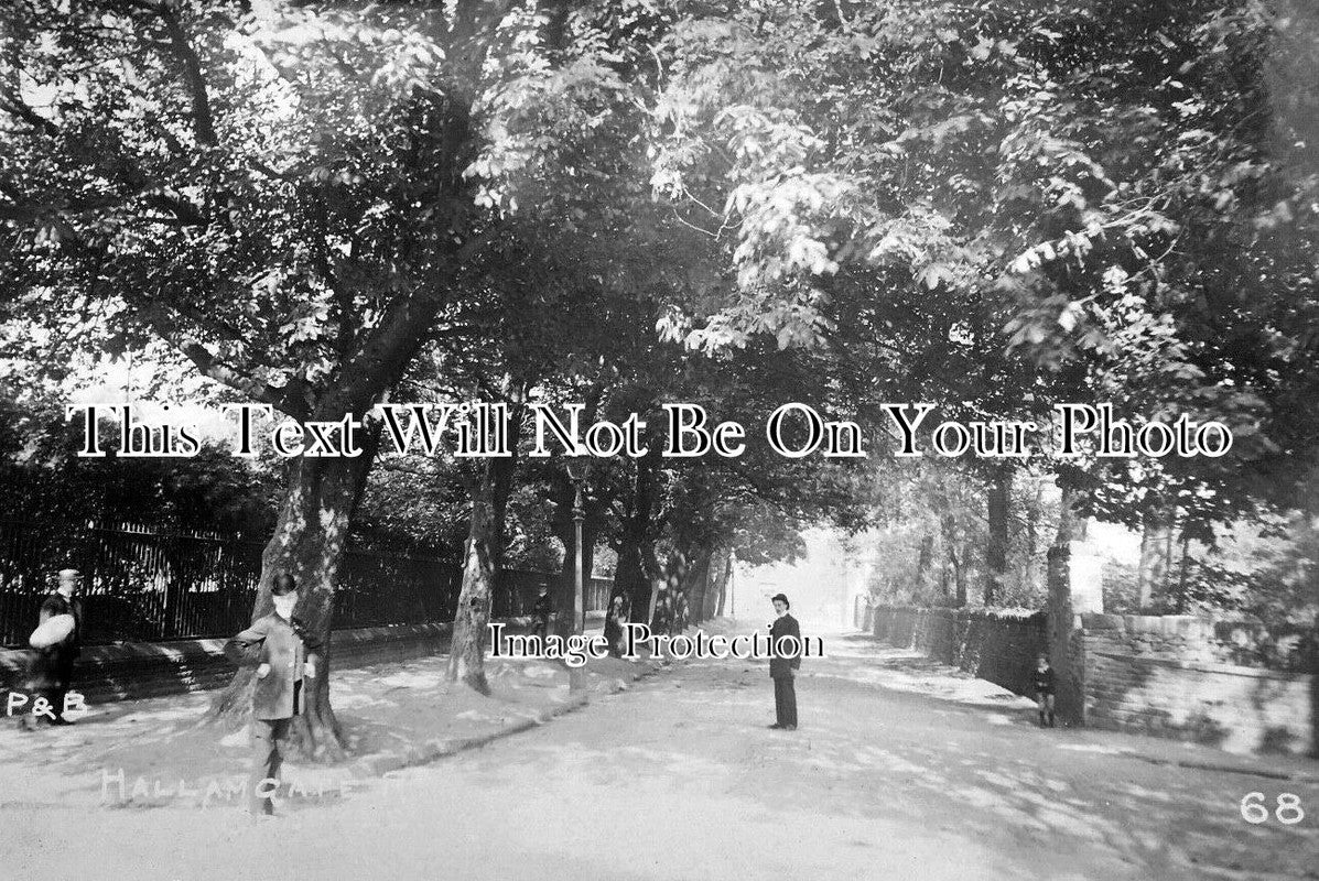 YO 6544 - Hallam Gate, Sheffield, Yorkshire