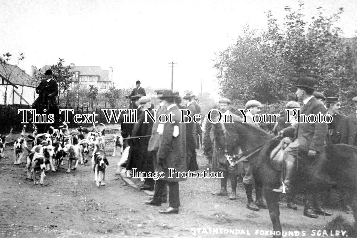 YO 6643 - Staintondale Fox Hounds At Scalby, Scarborough, Yorkshire