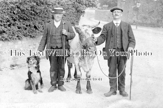 YO 6878 - First Prize, Gisburn, Yorkshire