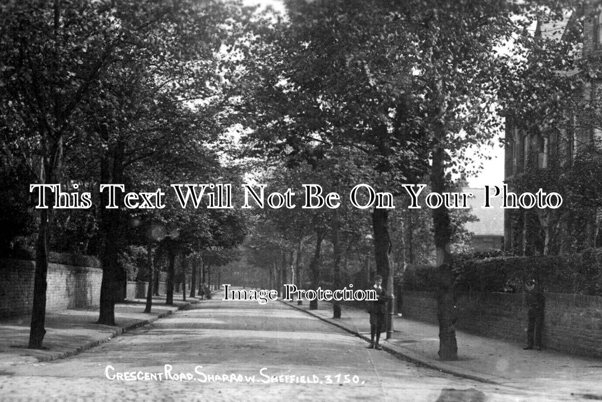 YO 6907 - Crescent Road, Sharrow, Sheffield, Yorkshire