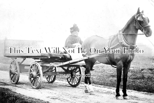 YO 7118 - Rose Carr Haulier Horse & Cart, Hornsea, Yorkshire